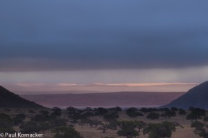 Heute Morgen, kurz nach 6 Uhr. Die Dünen der Namib werden sichtbar, die Nebelbank hängt über uns und bringt die so ersehnte Feuchtigkeit
