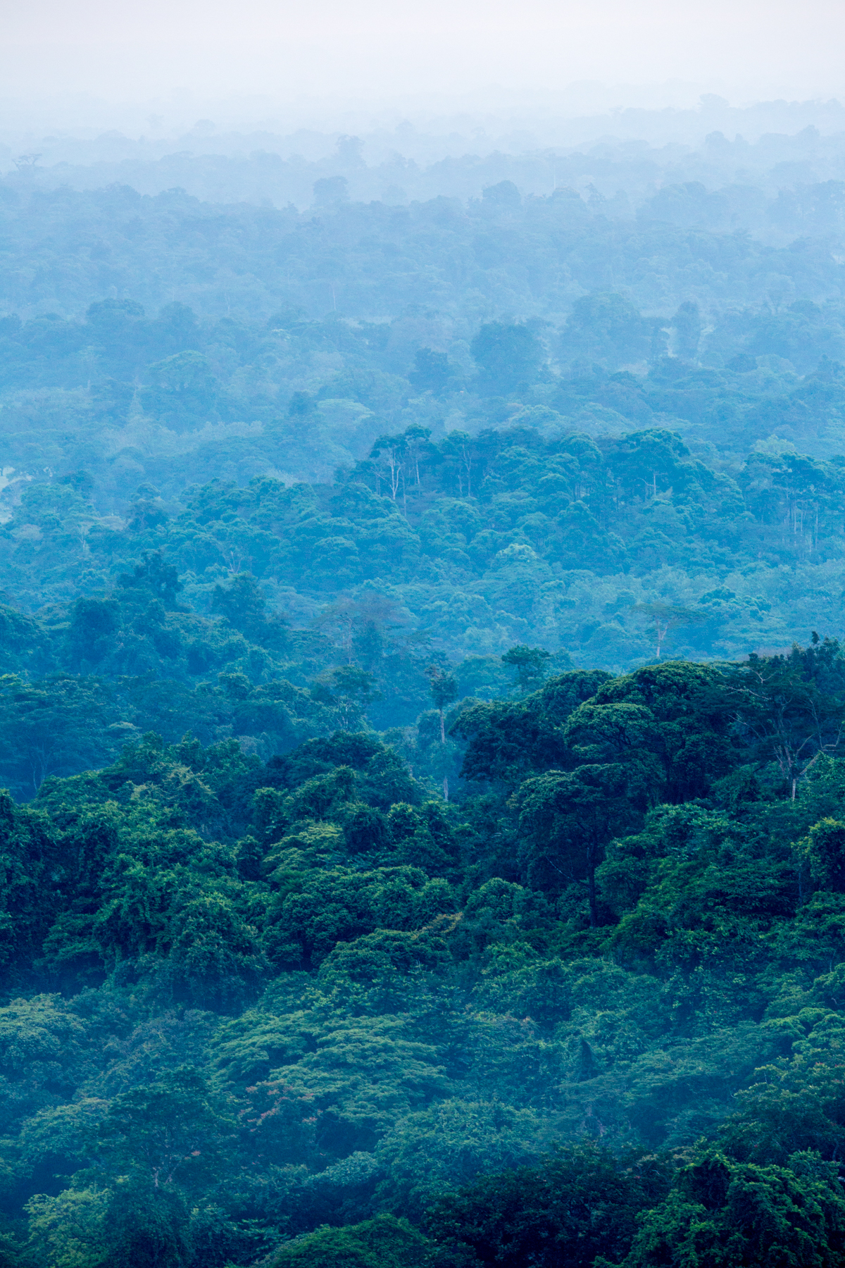 Regenwald soweit das Auge reicht, das ist Costa Rica! © K. Winterhoff