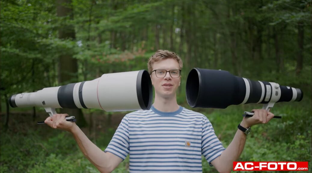 Der Vergleich: 800 & 1200 mm Brennweite (Canon RF-Objektive)